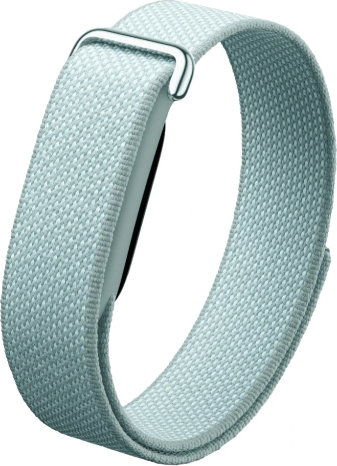 Фітнес-браслет Google Fitbit Air Fog (GA11015)
