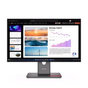 Lenovo P24Q-40 (64B2GAT1UA) (UA)