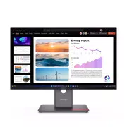 Lenovo P24Q-40 (64B2GAT1UA) (UA)
