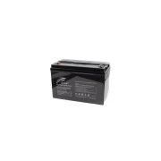 Батарея LiFePo4 Ritar 12,8V 100Ah (R-LFP12.8V100AH) (UA)