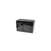 Батарея LiFePo4 Ritar 12,8V 100Ah (R-LFP12.8V100AH) (UA)