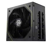 MSI MAG A1000PLS PCIE5 1000W 80 Plus Platinum (306-7ZPNY11-CE0) EU