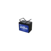 Батарея LiFePo4 Eco-Worthy 12,8V 100Ah, (50/100A) (DC HOUSE-12100) (UA)