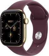 Apple Watch Series 12 GPS + Cellular 42mm Radiant Gold Titanium Case with Burgundy Sport Band M/L (MJGK4)
