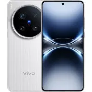Vivo X200 Ultra 12/256GB Silver