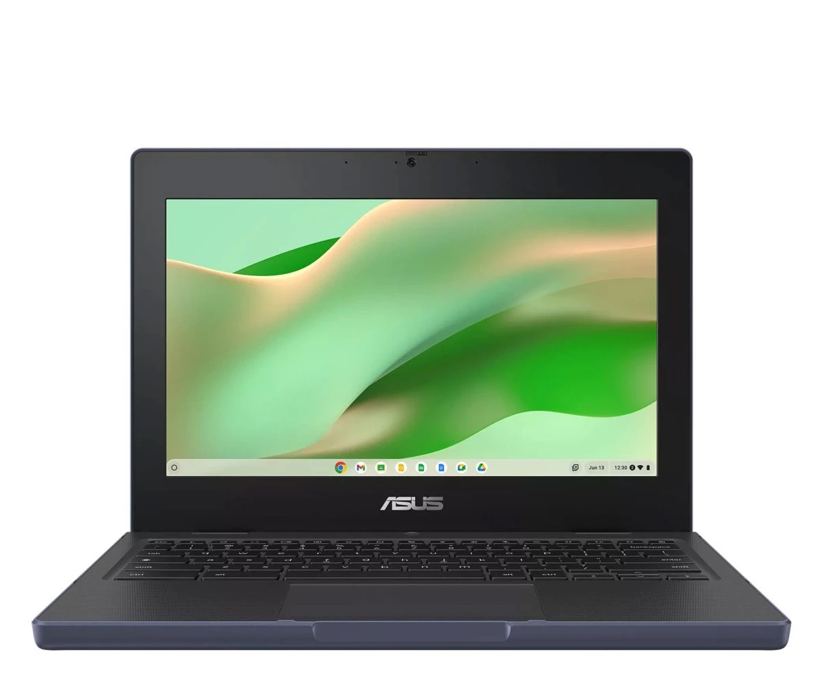 Ноутбук ASUS Chromebook N100/8GB/64/ChromeOS (CR1104CGA-N00200)