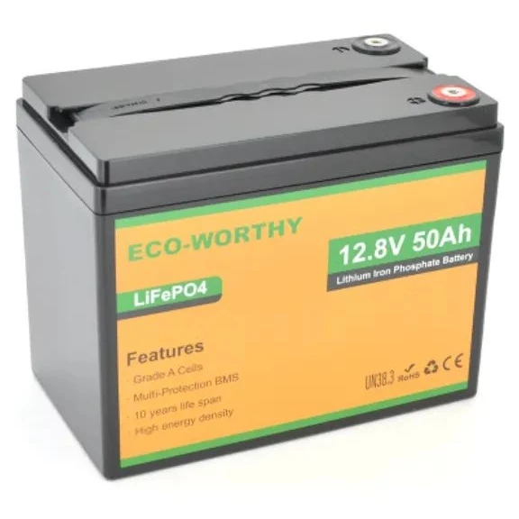 Батарея LiFePo4 Dyness 12,8V 50Ah (50/50A) (Eco-Worthy-1250) (UA)