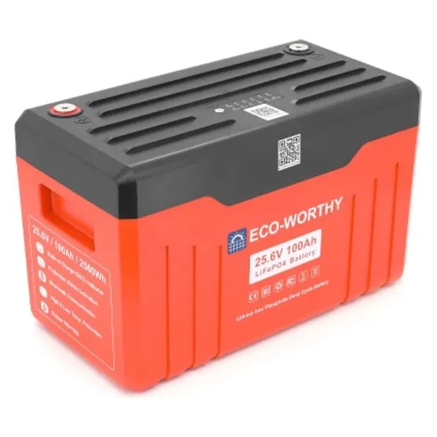 Батарея LiFePo4 Dyness 25,6V 100Ah (100/100A) (Eco-Worthy-251004) (UA)
