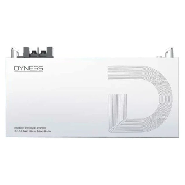 Батарея LiFePo4 Dyness DL2.5, 25.6V/100Аh 2,56kWh (DL2.5) (UA)