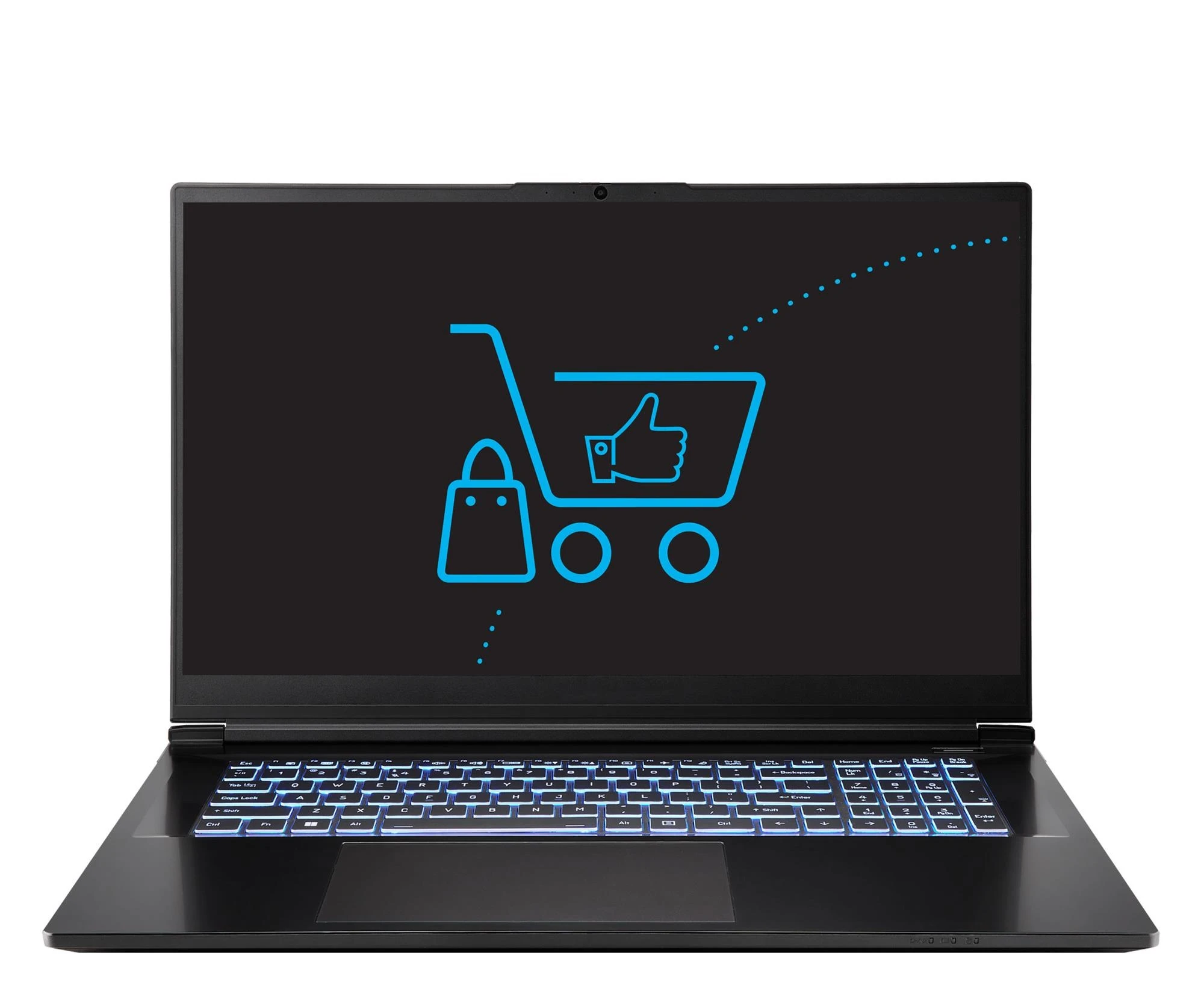 Ноутбук Dream Machines RG5070-17PL28 i9-14900HX/32GB/2TB RTX5070 240Hz (RG5070-17PL28)