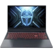 Thunderobot R16 (R16-R97945HX57TE1Q300RG) (UA)