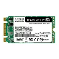SSD диск M.2 2242 256GB Team (TM4PS5256GMC101) (UA)