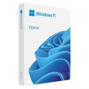 Операційна система Microsoft Windows 11 Home укр, FPP на USB носії (HAJ-00124) (UA)