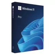 Операційна система Microsoft Windows 11 Pro укр, FPP на USB носії (HAV-00195) (UA)