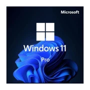 Операційна система Microsoft Win Pro 11 64-bit All Lng PK Lic Online DwnLd NR (FQC-10572-ESD) (UA)