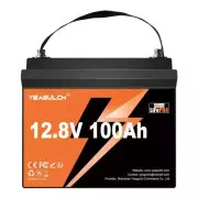 Батарея LiFePo4 YEAGULCH 12.8V 100Ah Mini Max (YEAGULCH-12,8V/100Ah Max) (UA)