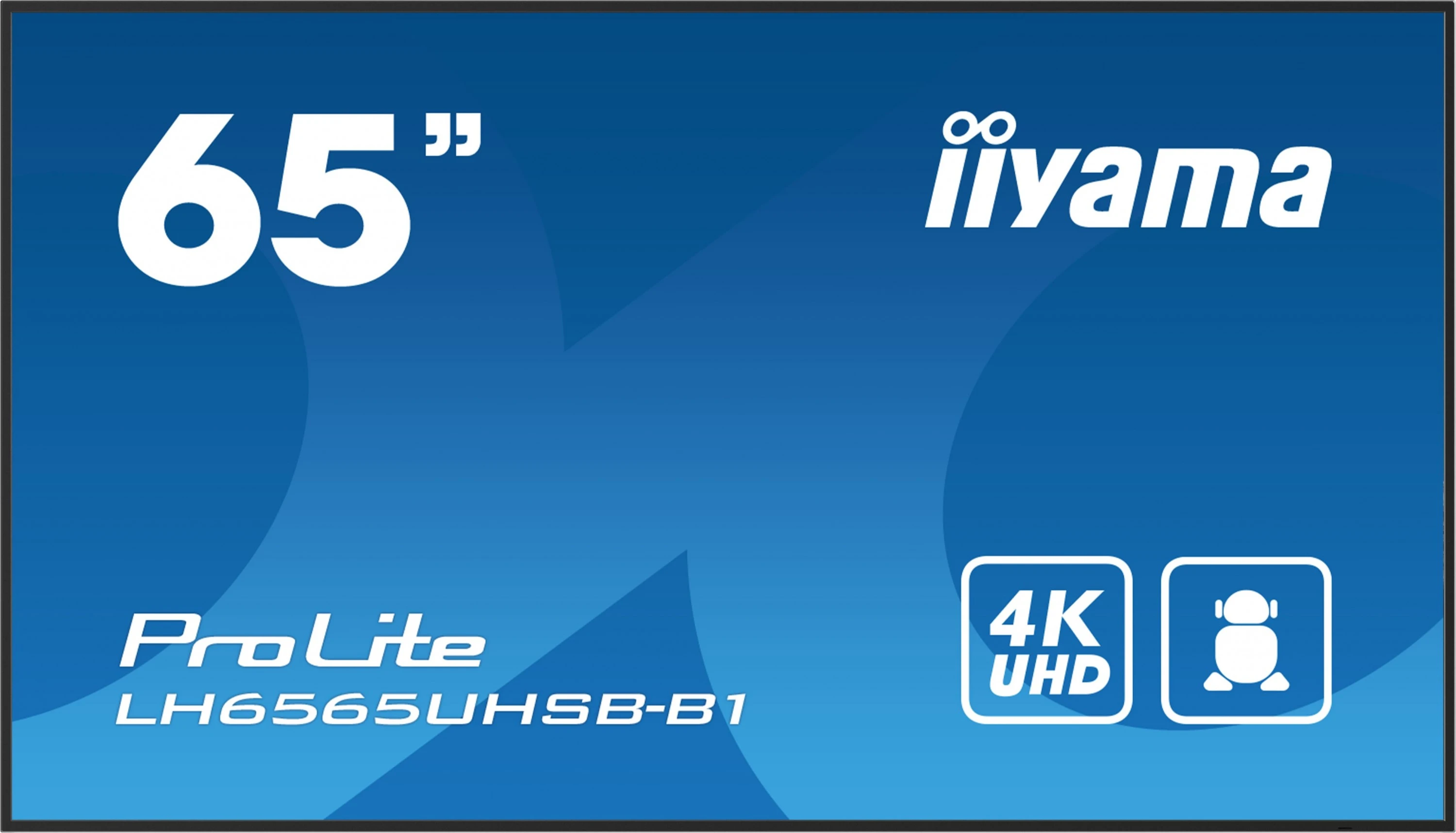 Презентационный дисплеи Iiyama ProLite LH6565UHSB-B1 64.5  (UA)
