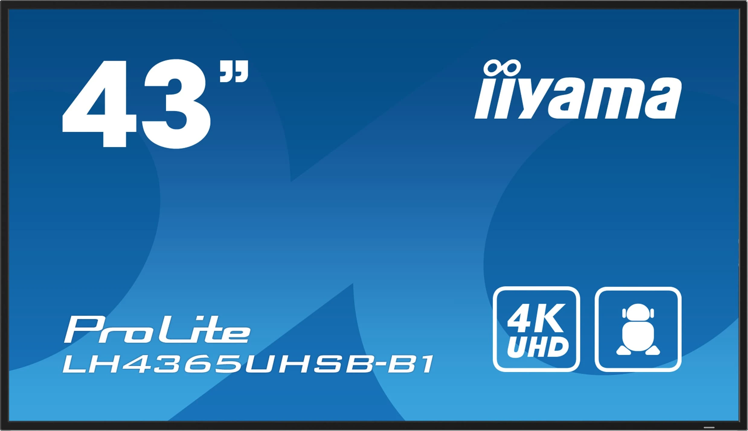 Презентационный дисплеи Iiyama ProLite LH4365UHSB-B1 42.5  (UA)