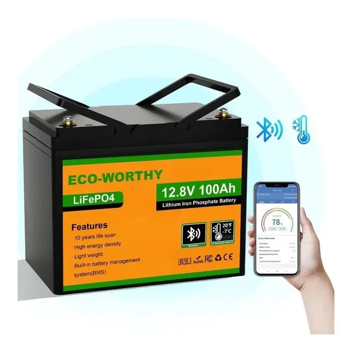 Аккумуляторная батарея LiFePo4 Eco-Worthy 12.8V 100Ah LCD (Eco-Worthy-12100bt) (UA)
