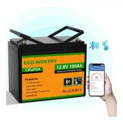 LiFePo4 Eco-Worthy 12.8V 100Ah LCD (Eco-Worthy-12100bt) (UA)