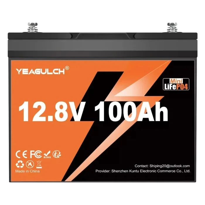 Акумуляторна батарея LiFePo4 YEAGULCH 12.8V 100Ah Mini (YEAGULCH-12,8V/100Ah Mini) (UA)