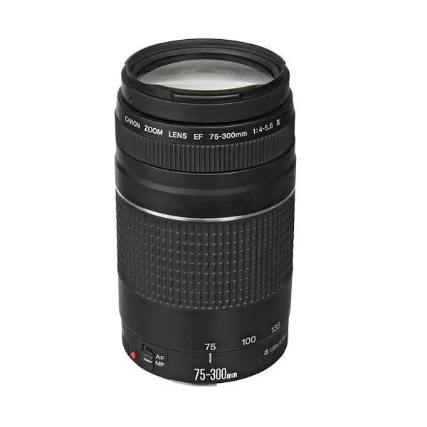 Объектив Canon EF 75-300mm f/4-5,6 III (6473A003)