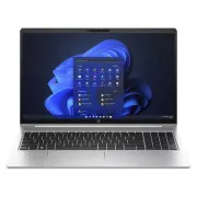 HP ProBook 455 G10 Silver (719F6AV)