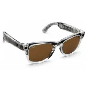 Ray-Ban Meta Wayfarer Gen 2 Limited Edition Brown Mirror Gold (RW4012 6770P 50-22)