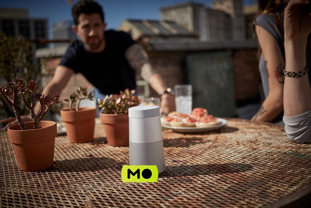 Bose SoundLink Revolve II Bluetooth Speaker Luxe Silver (858365-2310) 	 Вид: Портативна акустична