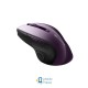 Canyon CNS-CMSW01P Purple USB (UA)