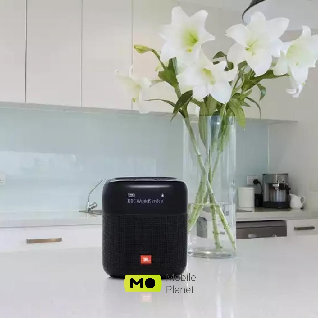 JBL Tuner XL Black (JBLTUNERXLBLKEU) Тип: портативні колонки;