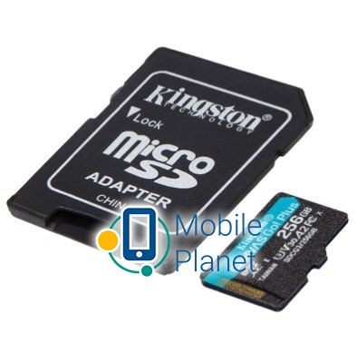 Kingston Canvas Go! Plus microSD (SDCG3/256GB) Тип: microSDXC; Класс скорости (SD): Class