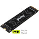 Kingston Fury Renegade 500GB M.2 NVMe (SFYRS/500G)