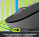 Logitech Signature M650 L (910-006236) Graphite USB (UA)