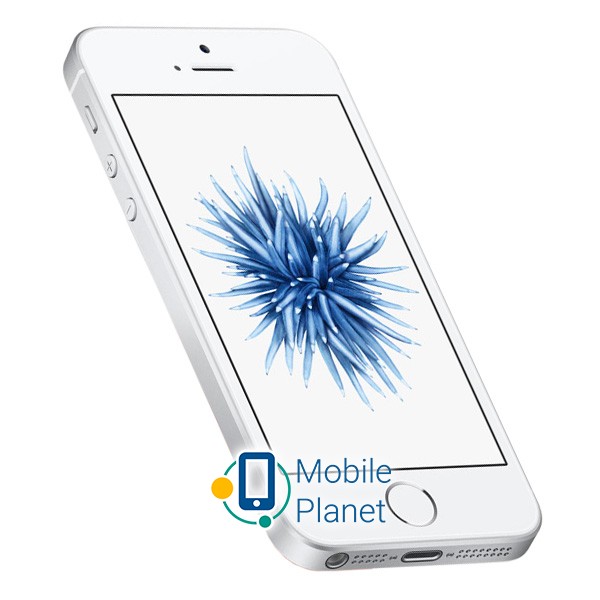 Apple iPhone SE 32Gb Silver (MP832) Форм-фактор Моноблок