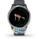 Garmin Venu Silver Stainless Steel Bezel w. Granite Blue and Silicone B. (010-02173-01)