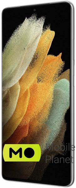 Samsung Galaxy S21 Ultra 2021 Duos 16/512Gb Phantom Silver (SM-G9980) Роздільна здатність екрана 3200x1440