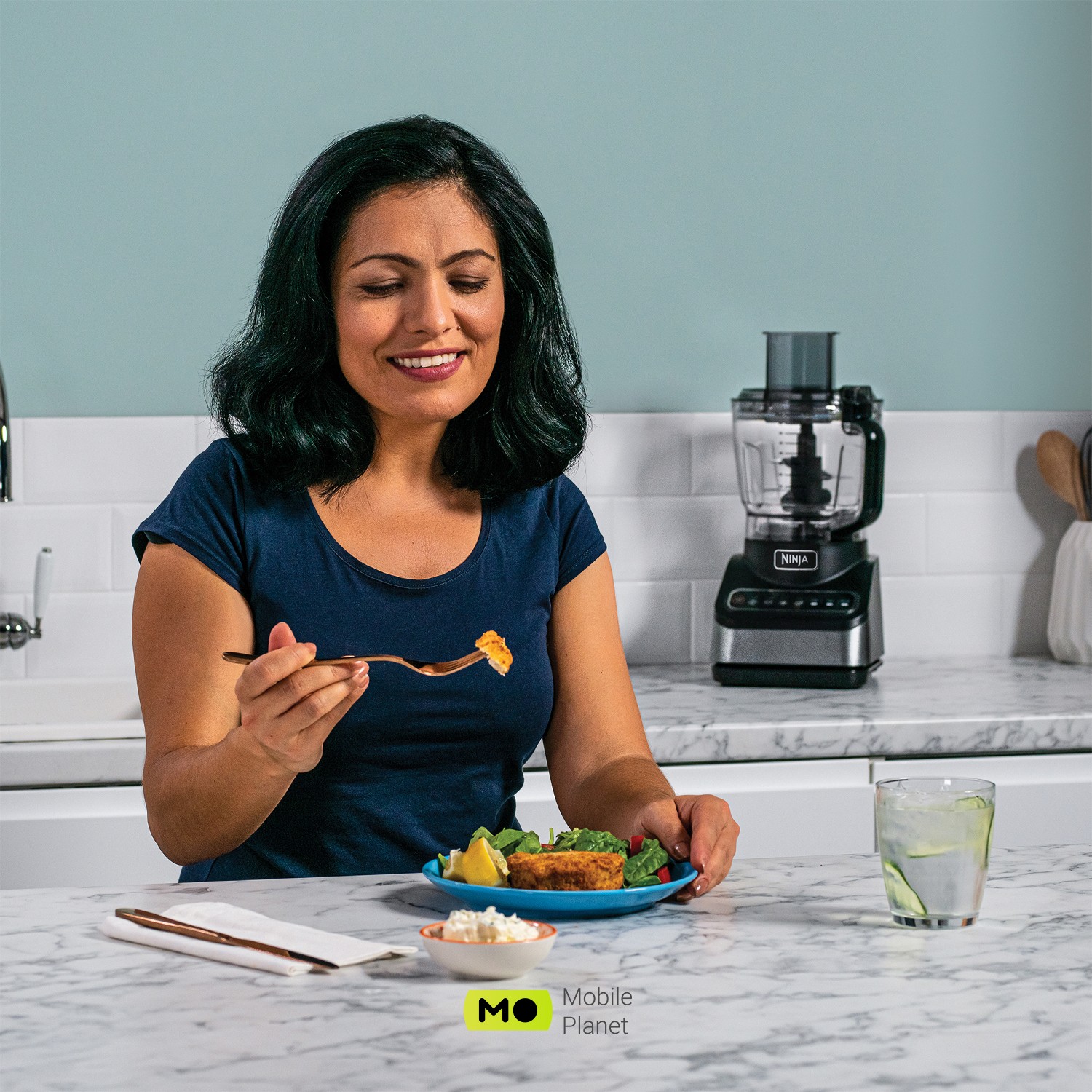 NINJA BN650EU Модель: BN650EU; Потужність: 850 Вт;