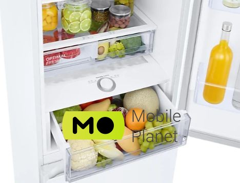 Samsung RB38T603FWW / UA