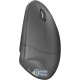 Trust Verto Wireless Ergonomic Black (22879) (UA)