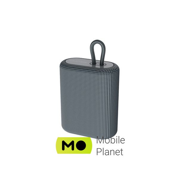 Canyon BSP-4 Bluetooth Dark Grey (CNE-CBTSP4DG) (UA) Підключення: бездротове;