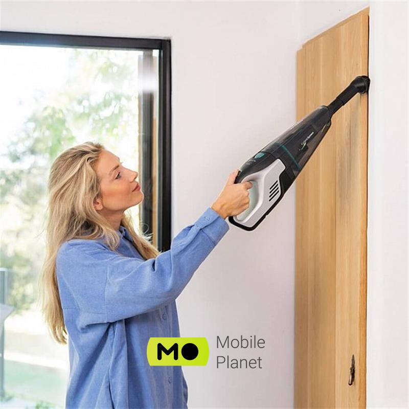 Cecotec Conga Popstar Micro 18,5V Animal Hand CCTC-05540 Тип: електровіник