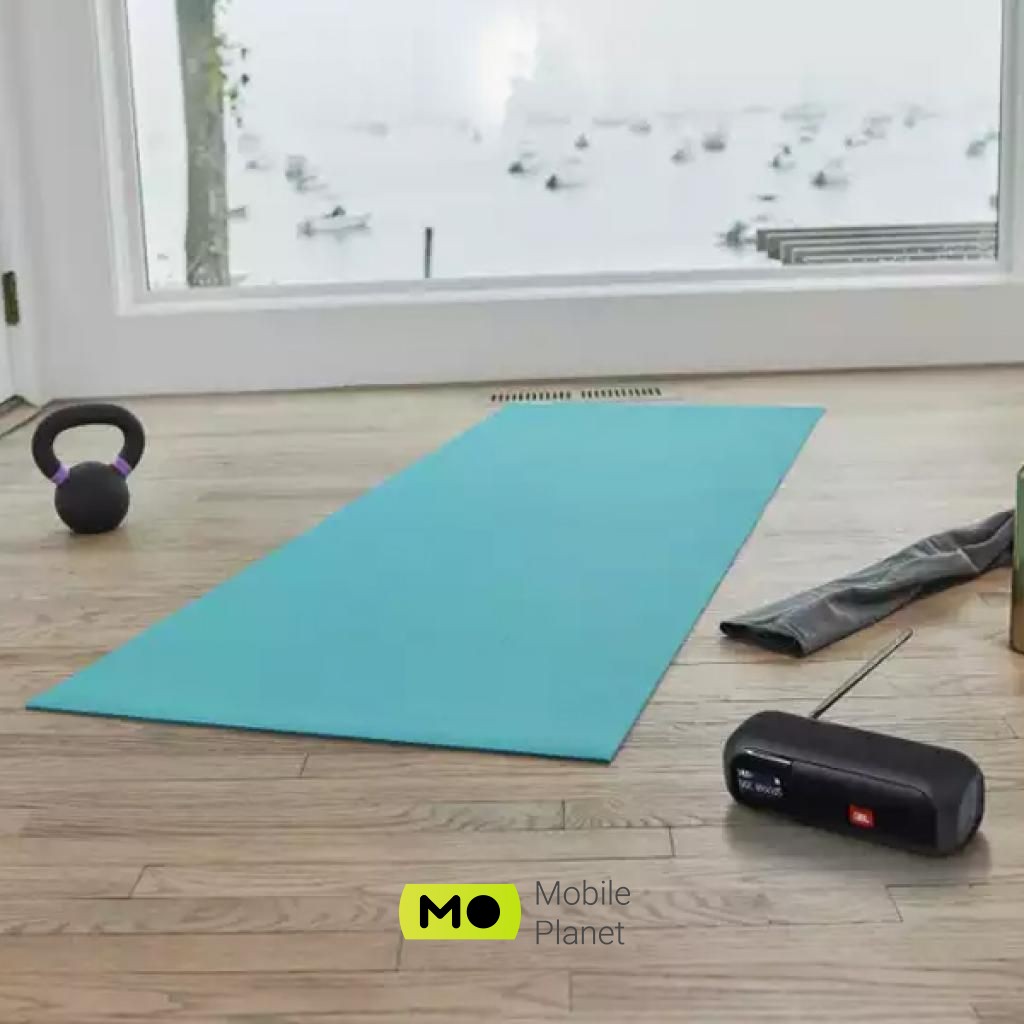 JBL Tuner 2 FM Black (JBLTUNER2BLK) Тип портативні колонки