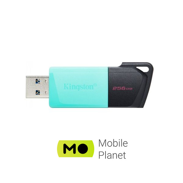 Kingston 256GB DataTraveler Exodia M USB 3.2 (DTXM/256GB) Тип: Класичні; Об'єм пам'яті: 256 Gb;