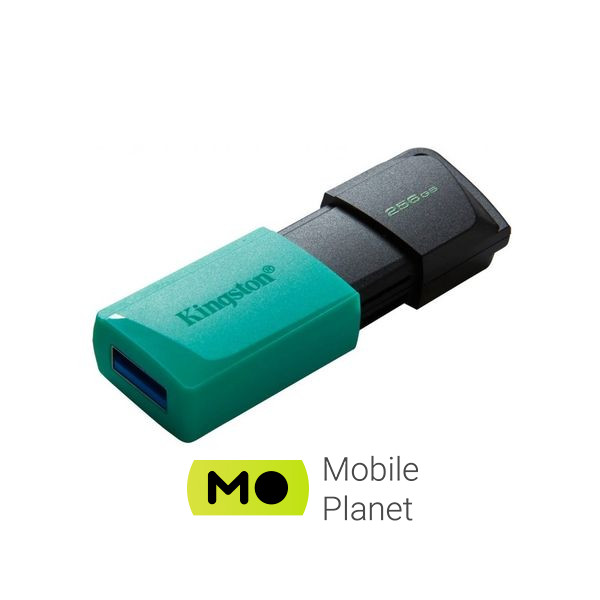 Kingston 256GB DataTraveler Exodia M USB 3.2 (DTXM/256GB) Тип: Класичні; Об'єм пам'яті: 256 Gb;