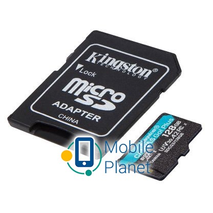 Kingston Canvas Go! Plus microSD (SDCG3/128GB) Тип: microSDXC; Клас швидкості (SD): Class