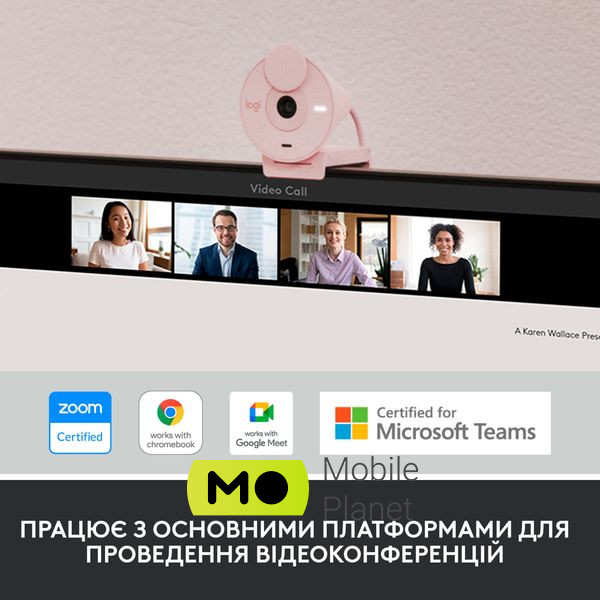 Logitech Brio 300 FHD Rose (960-001448) Інтерфейс USB Type-C