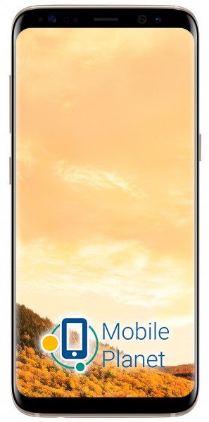 Samsung Galaxy S8 Duos 64Gb Gold (SM-G950FZDD) Об'єм побудованої пам'яті  64 ГБ 