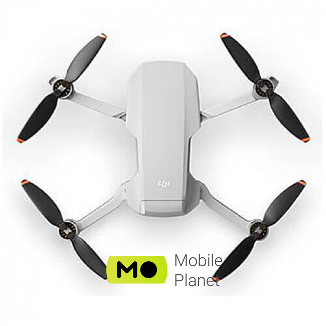 DJI Mini SE (CP.MA.00000324.01) Тип квадрокоптер