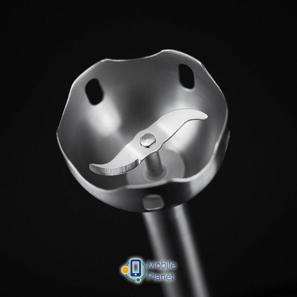 Russell Hobbs Desire (24690-56) (UA) Тип: занурювальний; Потужність: